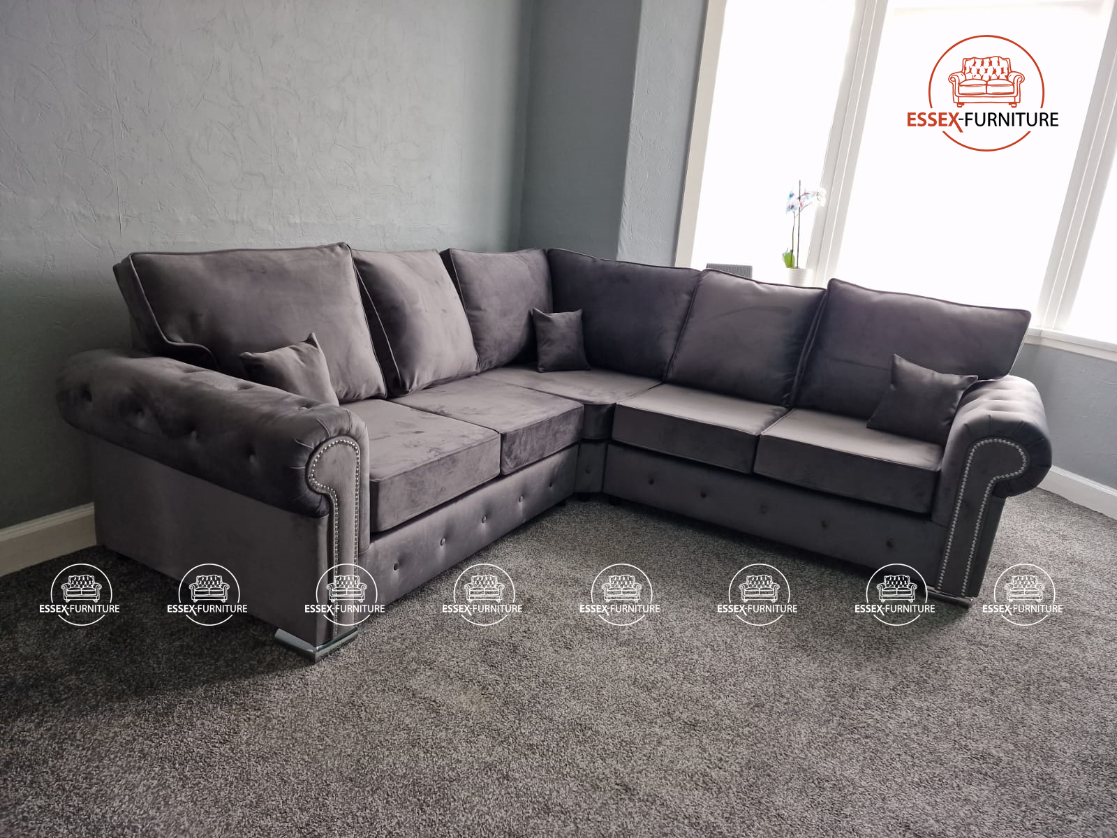 Olympia sofa Collection